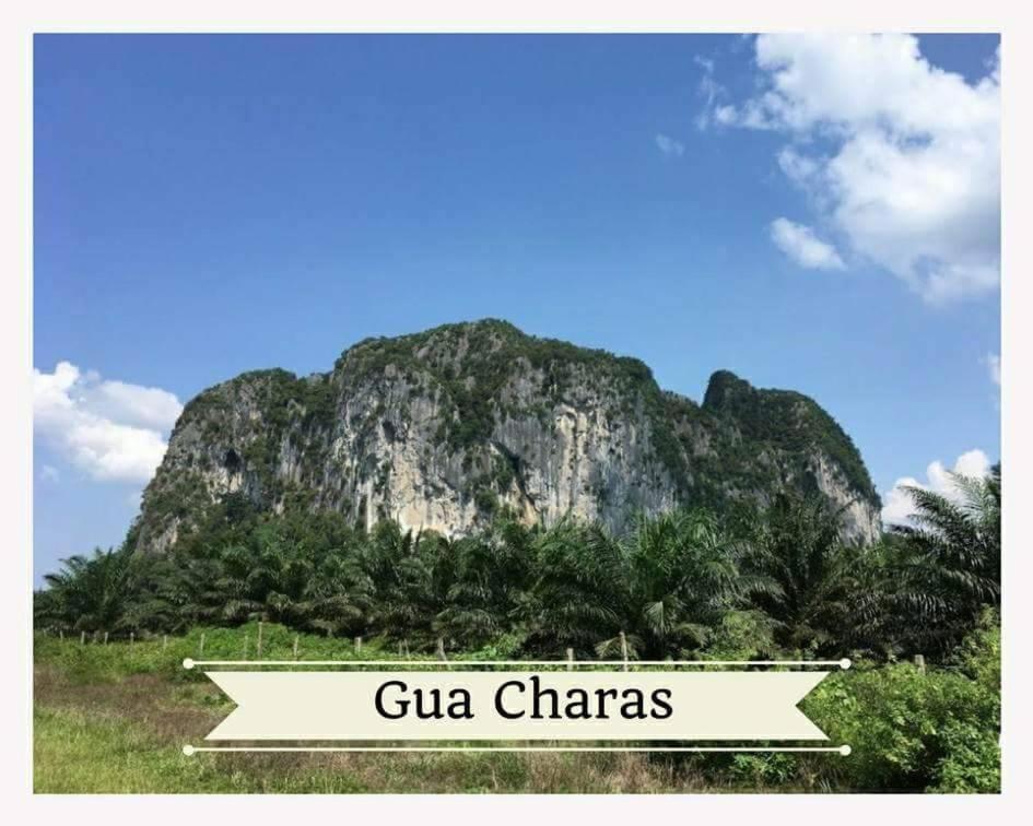 Casa Hill Resort Sungai Lembing Exterior photo